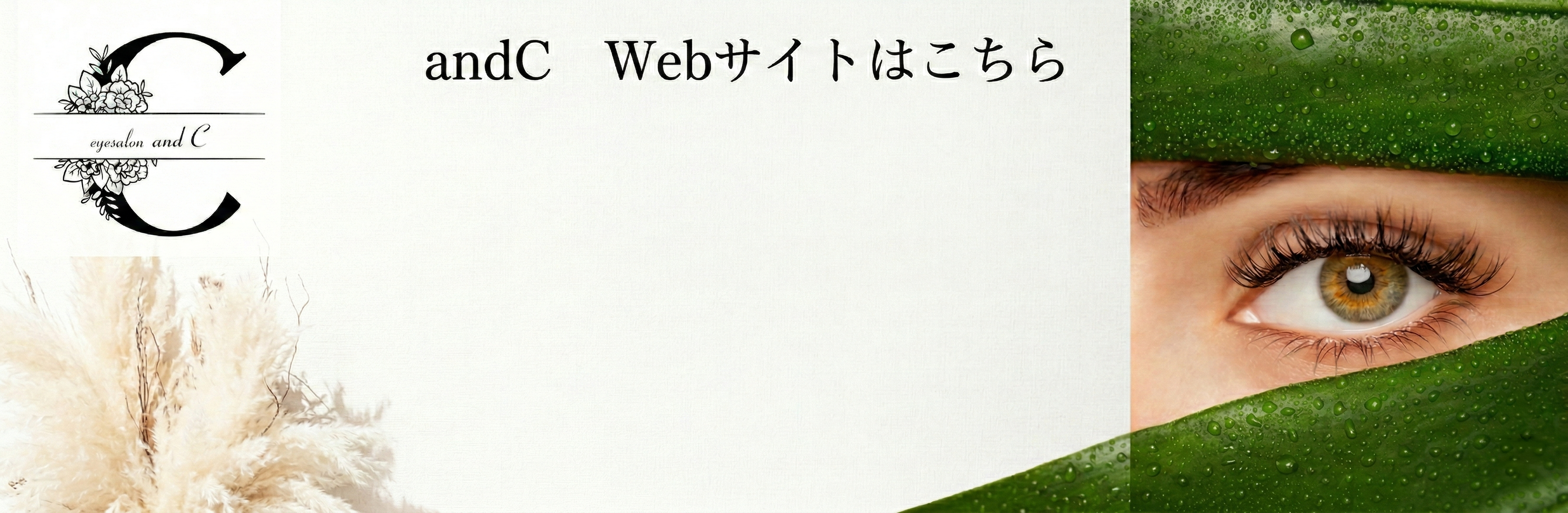 amdC Webサイトはこちら